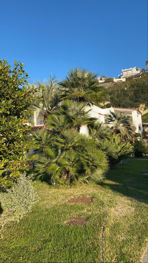 Casa Margherita Ischia Forio di Ischia Екстериор снимка